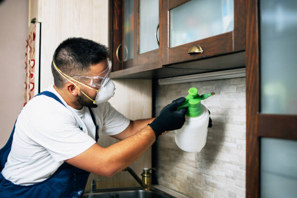 Best Bed Bug Extermination  in Zellwood, FL