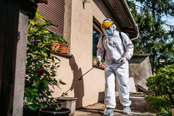 Wasp Removal Services in Zellwood, FL