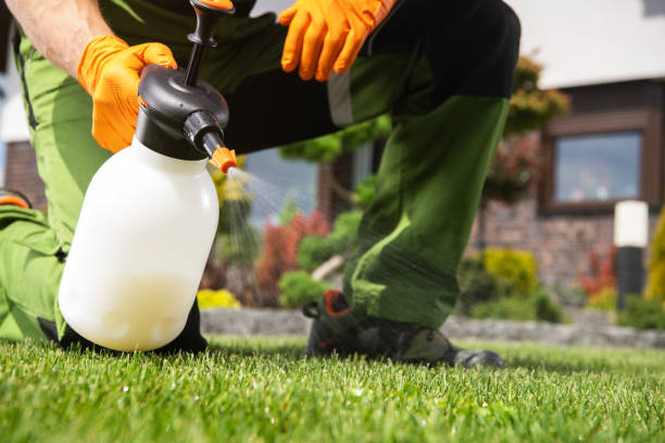 Trusted Zellwood, FL Pest Control Experts