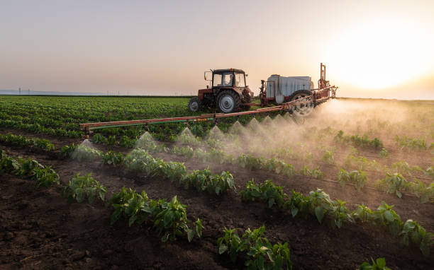 Best Commercial Pest Control Services  in Zellwood, FL
