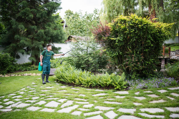 Best Wasp Removal Services  in Zellwood, FL