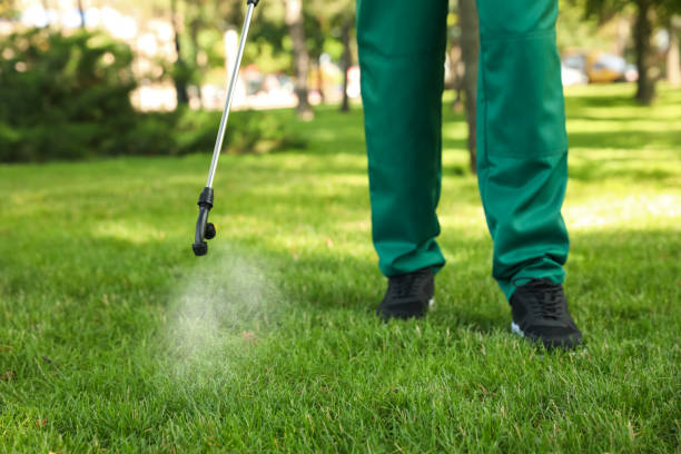 Best Pest Inspection Near Me  in Zellwood, FL