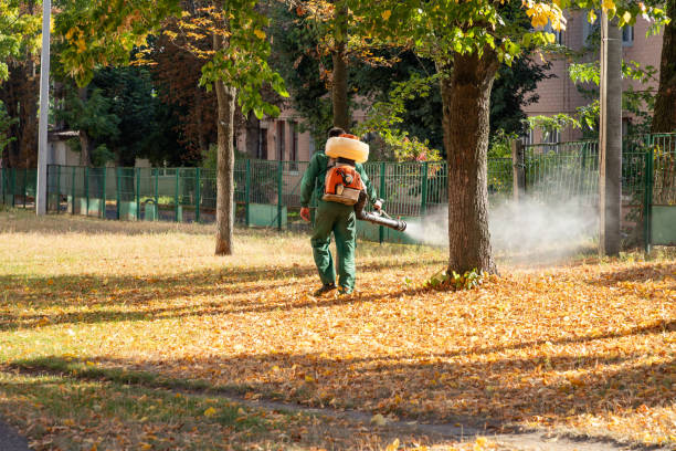 Best Termite Control Services  in Zellwood, FL